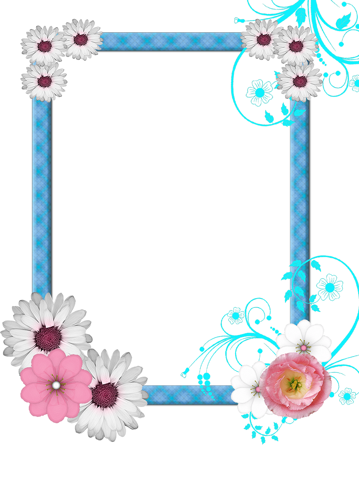 Marcos de fotos con flores naturales PNG 