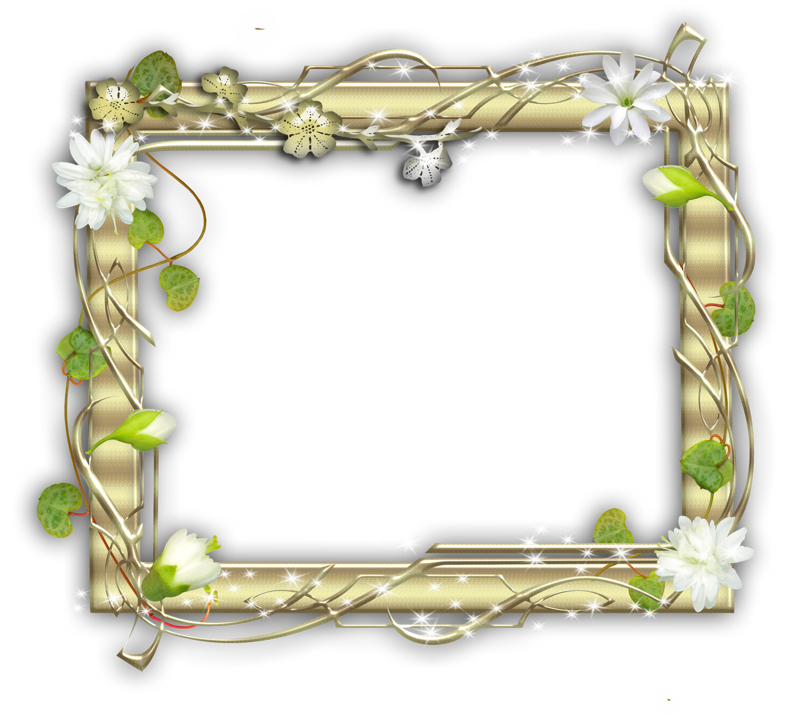 marco brillante con luces y flores descargar marcos